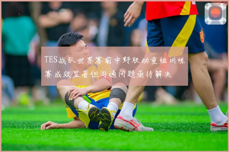 TES战队世界赛前中野联动重组训练赛成效显著但沟通问题亟待解决